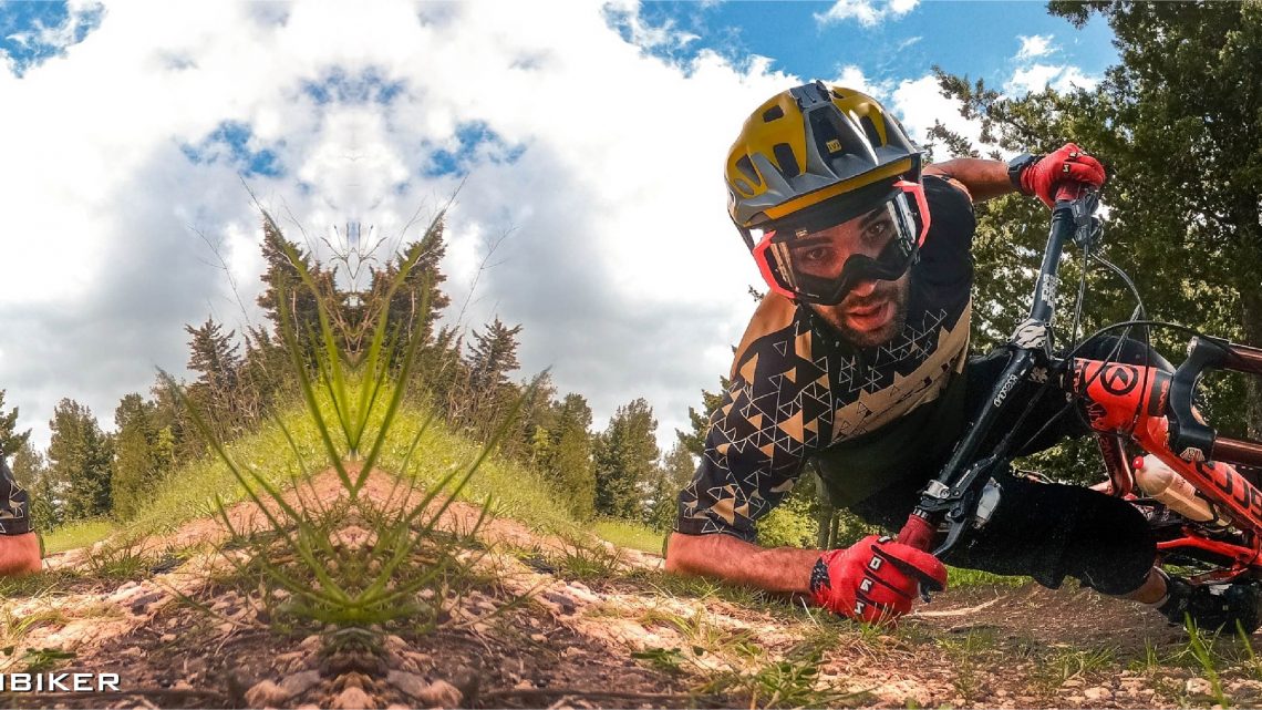 Nuova Linea Freeride